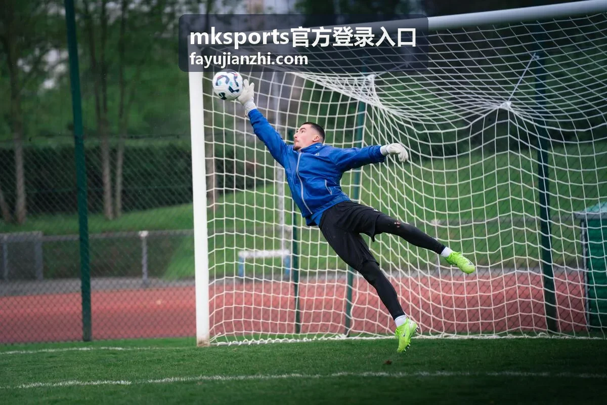 mksports官方登录入口 验证与确认
